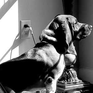 Meet your Posher, Randy